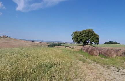 Casa dei Borghi - Foto 29