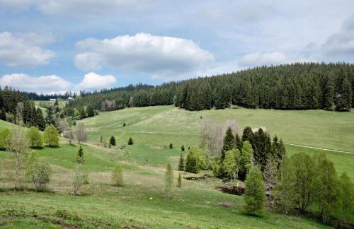 Rutscherhof Breitnau - Photo 36