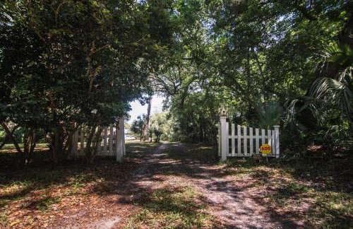 Maggie Brown - Foto 3