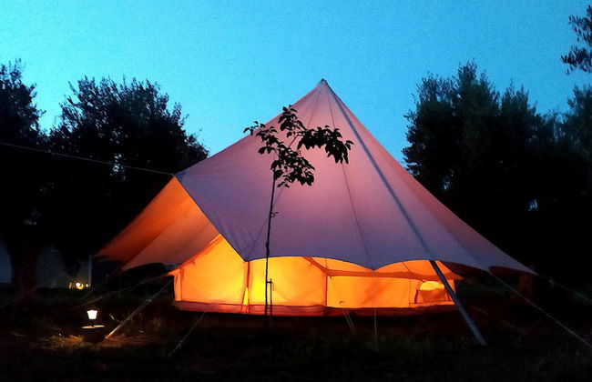 Cocoon Tent in an Olive Grove - Photo 13