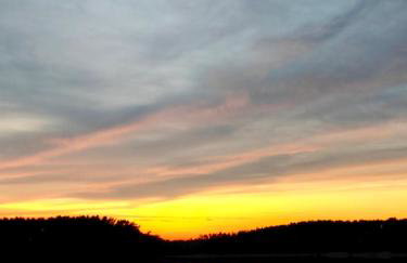Leśna Ostoja w centrum Puszczy Nadnoteckiej otoczona 3 jeziorami - Foto 29