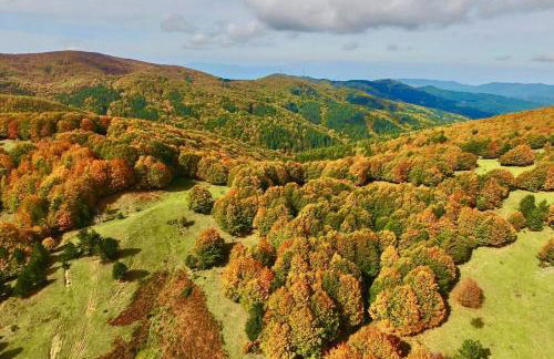 LORICAskiHOME - Foto 38