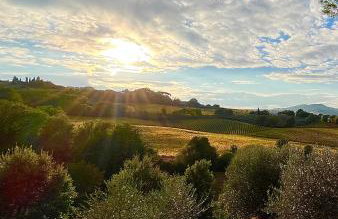 LA COLLINA DEI SAPORI Montepulciano - Photo 52