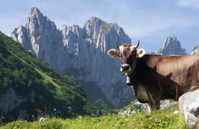 Modern Chalet in Saas-balen With Garden - Foto 27