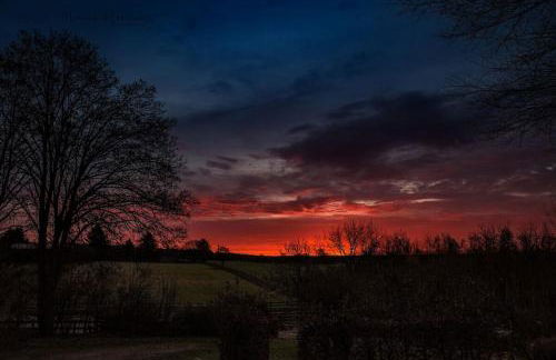 Schönstes kleines Ferienhaus in der Lü-Heide - Foto 39
