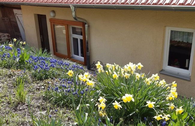 Charmantes Ferienhaus mit Naturgarten - Foto 21