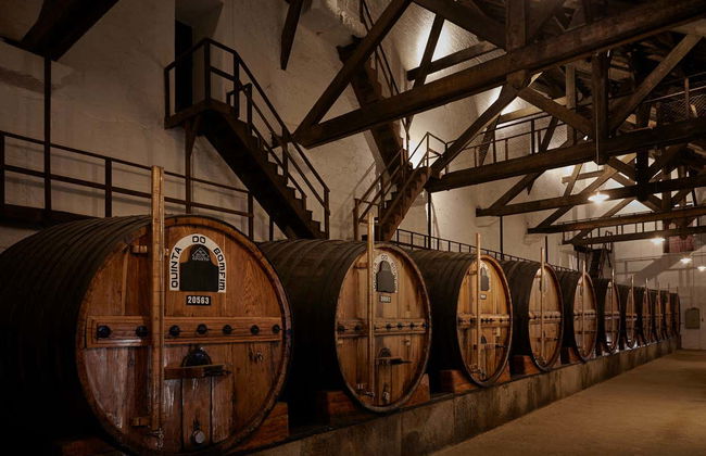 Quinta do Bomfim Winery Tour - Photo 6