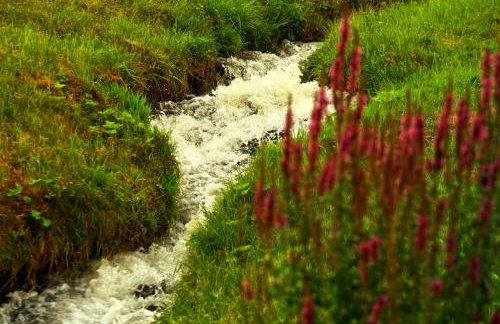 Haus Jehle - Foto 17