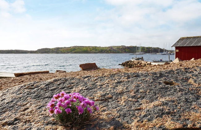 6 Person Holiday Home in Bovallstrand-by Traum - Foto 21