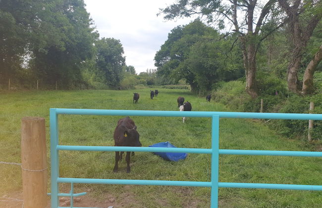 Captivating 3-bed House - Photo 13