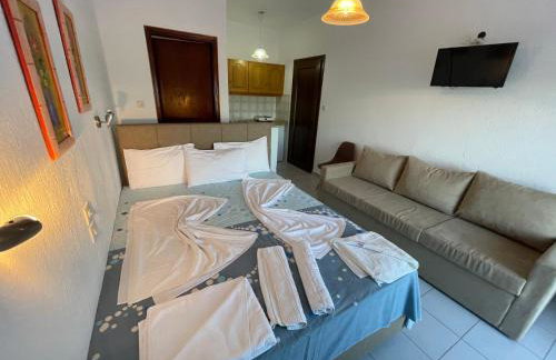 Theano Studios - Foto 51