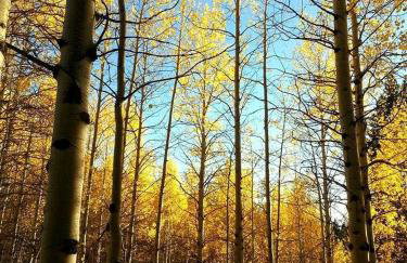 Pet-Friendly Yurt for an Off-the-Grid Getaway near Hyrum, Utah - Foto 16