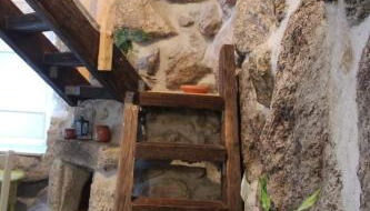 Bosque dos Amieiros - Foto 4