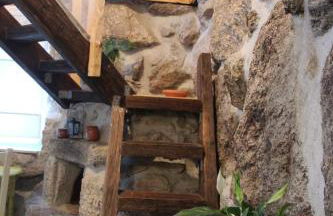 Bosque dos Amieiros - Foto 4