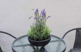 Westminster 1 bed apt with terrace and Air-Con - Photo 14