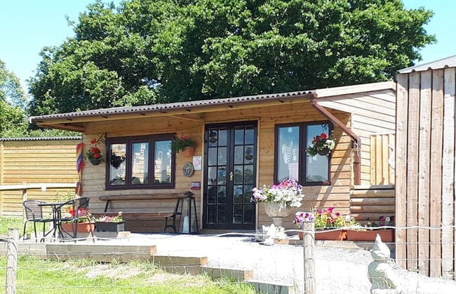 Rosie Traditional Gypsy Wagon - Foto 4