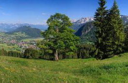 Ferienwohnung Bergnah - Foto 23