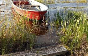 Natur-Freude-16 - Foto 5