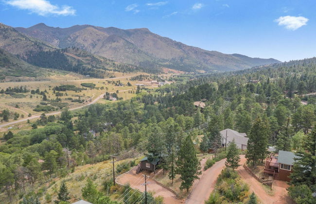 3BD Cowboy Cabin Pikes Peak Mountain Log Cabin - Photo 27