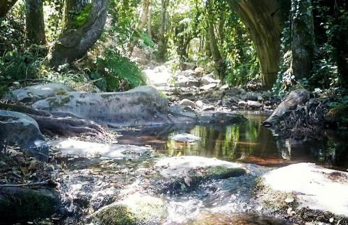 Ca' la Paz - Mogarraz - Foto 26