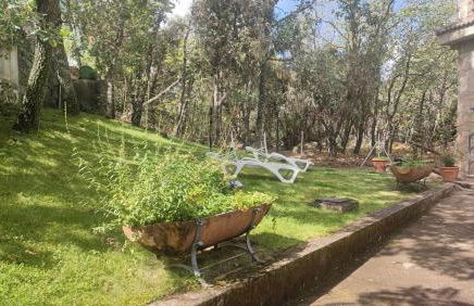 Casa rural El rincón de Gredos - Photo 14