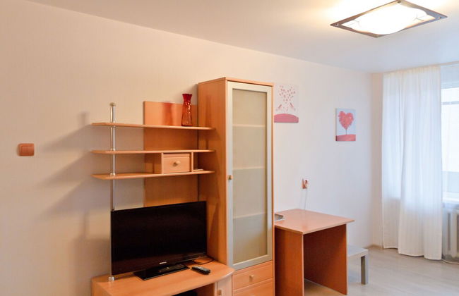 Apartment ALLiS-HALL on Chelyuskintsev 23 - Photo 7