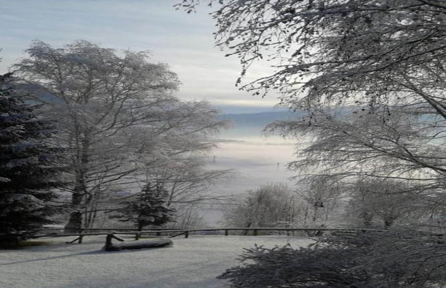 Pet-friendly Mountain Home - Foto 37