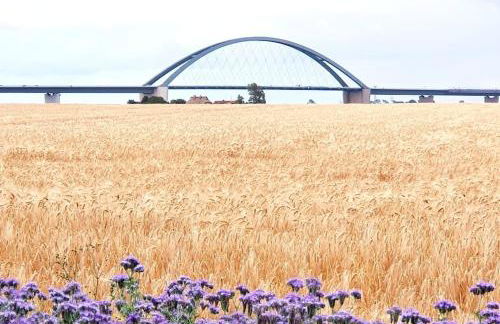 Inselhuus Windkieker Fehmarn - Foto 23