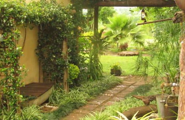 Hazyview Country Cottages - Foto 46