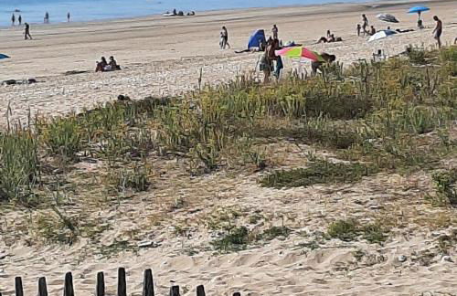 Ostréane-en-Ré - Foto 11