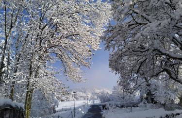 Haus Annette - Foto 23