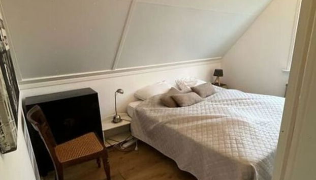 Buitenplaats 109 Comfortable Holiday Residence - Foto 4, Habitación