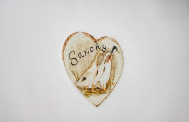 Host Stay The Saxony Garden Studio - Foto 20