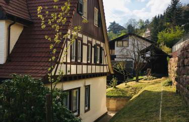 Familienglück im Schwarzwaldhaus mit Schlossblick - Foto 77