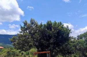 Cantim da Flor - Vale do Capão - Foto 10