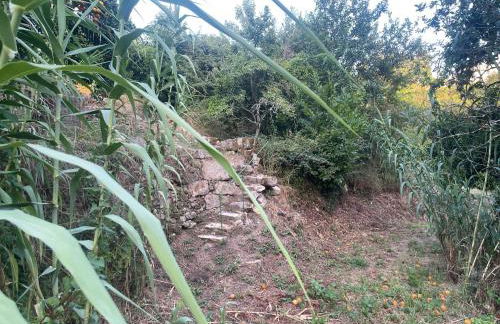 Nascente, place in nature next to a waterfall - Foto 26