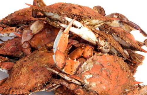 Relax on Kent Island in 3 Bedroom Home w/Waterview - Foto 36