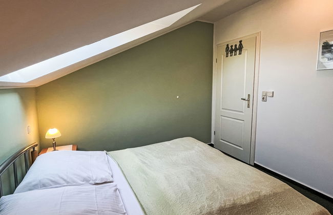 Zaunkönig - Foto 17