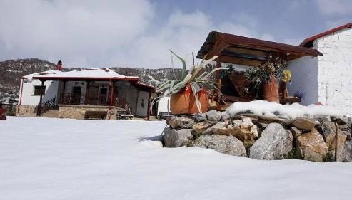 KASTORIA DENDROCHORI Retreat & Rest - Foto 4