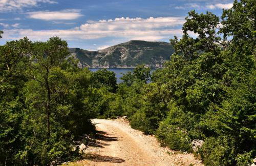 Luxury Villa Lidija - Photo 36