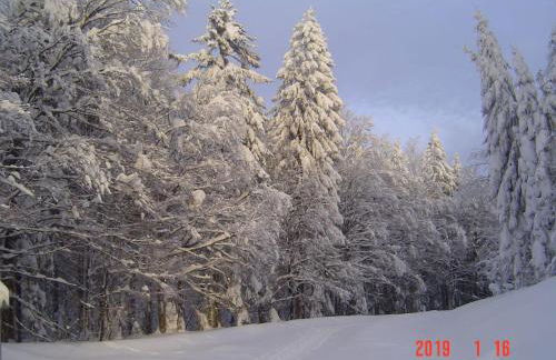 Haus Johanna - Foto 13