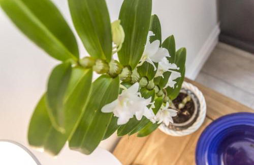 Martello View - 3 Bedroom Holiday Home - Llanreath - Photo 41