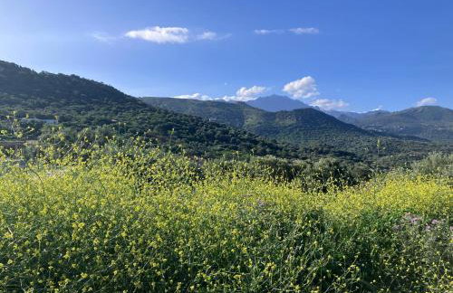 Bella Vista - Foto 8