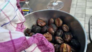 Lochererhof - Foto 3