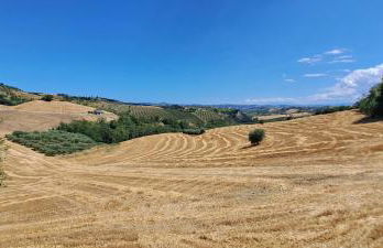 Sweet Home Offida - Foto 45