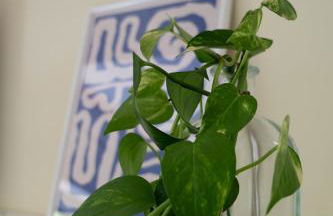 La Casetta nel Borgo a Due Passi dal Mare - Foto 13