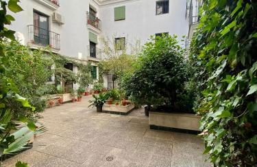 Magic Point Sevilla - Foto 7