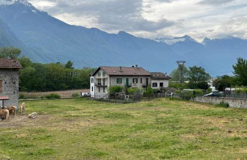 Benvenuti al lago - Photo 24