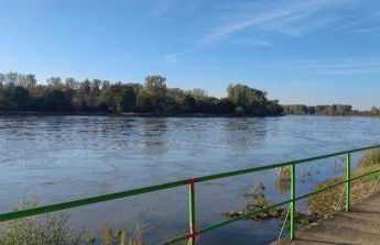 Urlaub am Rhein Speyer Hockenheim - Photo 15