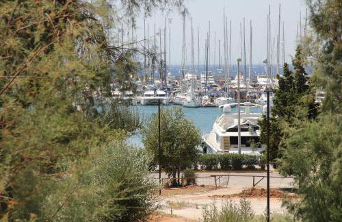 Olga's Studio - Foto 45